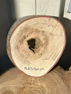 Spalted Maple